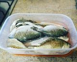 Foto del paso 1 de la receta: Sopa de aprovechamiento de pescado con armuelle
