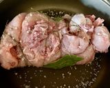 Foto del passaggio 2 della ricetta Tacchino alla Canzanese