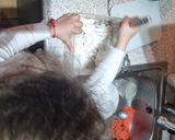 Foto del paso 1 de la receta: Mantecadas Navideñas de Almendra