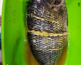 Foto langkah ke 1 dari resep Pecak Ikan Nila.