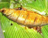 Foto langkah ke 3 dari resep Ikan Bakar Bandeng Kecap.