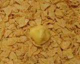 Foto langkah ke 4 dari resep Cornflakes Cookies.