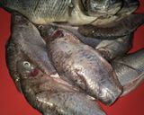 Foto langkah ke 1 dari resep Ikan goreng tepung.