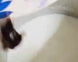 A picture of step 4 of Talbina(Barley Porridge).