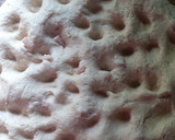 Foto del paso 3 de la receta: Pan de campo con panceta ahumada🧉