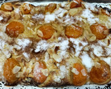 Foto del paso 22 de la receta: Coca de San Juan con albaricoques y almendras
