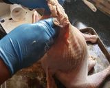 A picture of step 13 of Traditional Roasted Turkey.