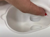 中秋金柚玉兔