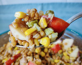Foto del paso 7 de la receta: Ensalada de lentejas con atún y manzana