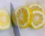 Lemon Cucumber Water recipe step 2 photo