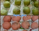 Foto langkah ke 4 dari resep Bakpao Mini Rasa Kacang Hijau dan Cokelat Kacang.