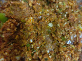 ભરેલા રીંગણાનું શાક ( bharela ringan bateta nu shaak in Gujarati