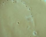 Foto del paso 2 de la receta: Crema de carxofes