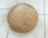 Foto del paso 5 de la receta: Pan integral casero