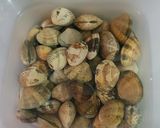 Foto del paso 1 de la receta: Alubias blancas con almejas