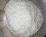 Foto del paso 3 de la receta: Pancitos de Campo