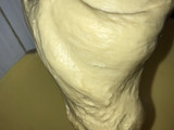 Bread rolls or buns bread