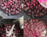 عکس مرحله 2 از دستور دسر شاهتوت با بیسکویت پتیبور 🍇🍮
