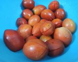 A picture of step 1 of Tomato Puree.