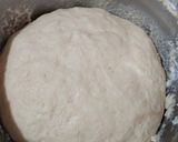 Foto del paso 4 de la receta: Pan dulce Navideño