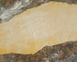 Foto del paso 7 de la receta: "Súper raviolones" con relleno de langostinos #recetariocamino