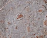 A picture of step 3 of Tortilla cheese roll.