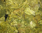 Foto del paso 2 de la receta: Pizza de brócoli
