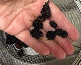 A picture of step 2 of Mulberry Jam (from my garden).