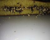 Foto langkah ke 6 dari resep Martabak Manis Bersarang.