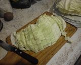 Foto del paso 1 de la receta: Guiso de Repollo