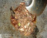 Foto langkah ke 5 dari resep Ikan pindang asin sambel pedas.