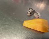 Une image de l'étape 4 de Salade multicolore à la pastèque et melon d'Espagne.