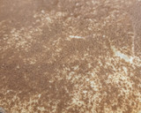 Foto del paso 11 de la receta: Tiramisú