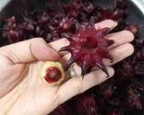 Hình bước làm 2 của món Siro Atiso