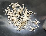 巴吉魯湯的食譜步驟1照片
