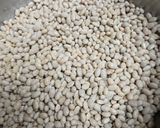 A picture of step 1 of Navy Beans 2024.