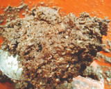 Foto del paso 1 de la receta: Galletas de chocolate fáciles y rápidas