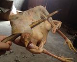 Foto langkah ke 1 dari resep Ayam Panggang Wonogiri.