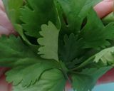 Foto del paso 4 de la receta: Hummus de lentejas, aceitunas negras y cilantro con Agua de Mar