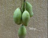 A picture of step 1 of Totapuri Mango Pickle.