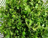 Hình bước làm 1 của món Canh Cải Xoong Nhỏ Nấu Thịt Bằm