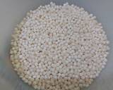 Sagudana Kheer(Tapioca) recipe step 1 photo