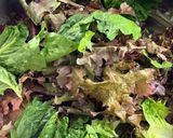 A picture of step 1 of Northeastern Style Salad (东北大拌菜).
