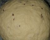 Foto del paso 2 de la receta: Rosquitas de Anís