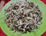 ફણગાવેલા મગ (Sprouted Moong Recipe In Gujarati) રેસીપી સ્ટેપ1ફોટો