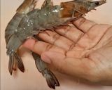 Foto langkah ke 1 dari resep Udang Bakar Madu.