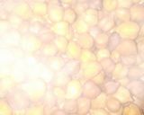 મસાલા ચણા (Masala Chana Recipe In Gujarati) રેસીપી સ્ટેપ1ફોટો