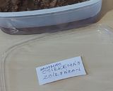 Hagymás csirkemáj zsírjában recept fázis 4 fotója