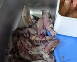 Foto del paso 8 de la receta: Arroz con chipirones, lomo de cerdo y gambones