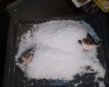Foto del paso 3 de la receta: Doradas a la sal